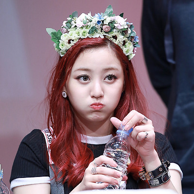 15.11.05 트와이스 신촌 팬싸인회 (1/2)  by. MINe.티스토리 툴바