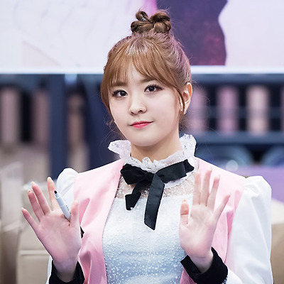 [2017.01.21] 광화문 소나무 팬사인회