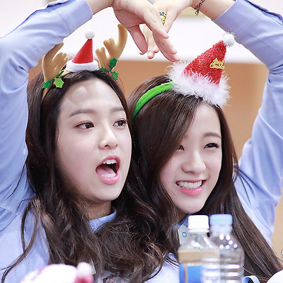 15.12.05 에이프릴 충무아트홀 팬싸인회 (3/3) by. Zetta티스토리 툴바