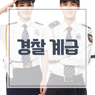 블로그 썸네일