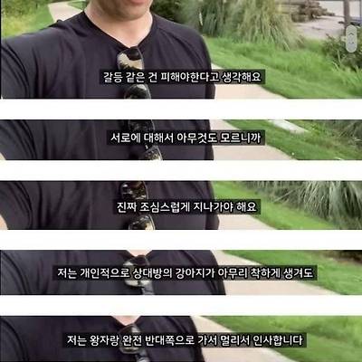 미국의 강아지 산책 문화