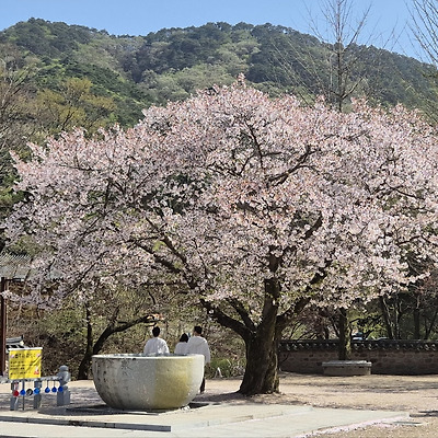 관련 글 썸네일