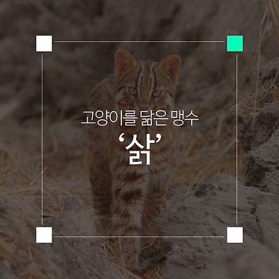 라이브러리 프로젝트