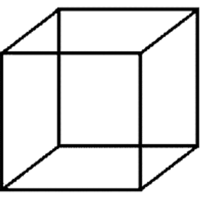 네커의 정육면체(Necker cube)