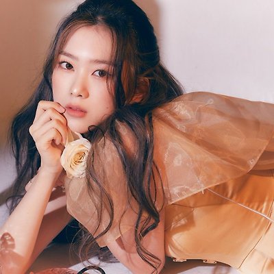 오마이갓! 오마이걸 지호 탈퇴, 손편지 전문 [祉呼, JIHO, ジホ]