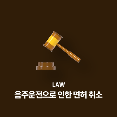 음주운전으로 인한 면허 취소 - 구제 절차와 필요 서류