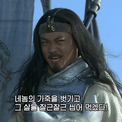내가 보려고 모은 신삼국지 짤 움짤 웃짤