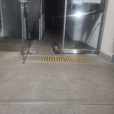 상견례 같은 소리