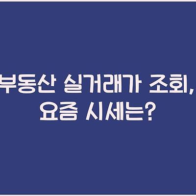 블로그 썸네일