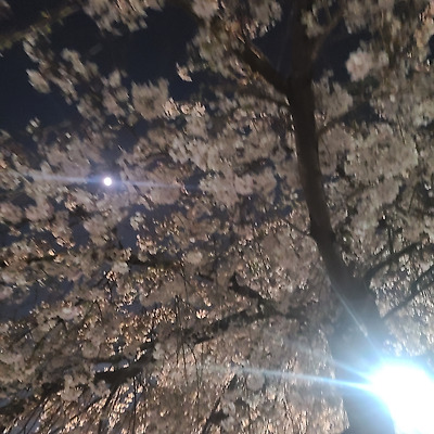젊은 다짐