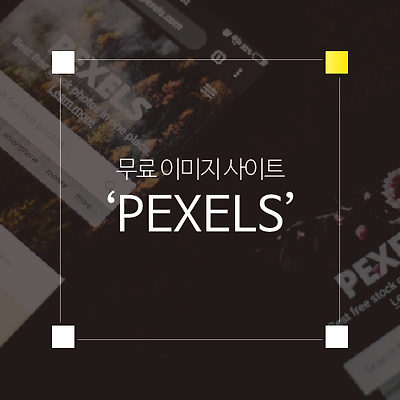 무료 이미지 사이트 'PEXELS'