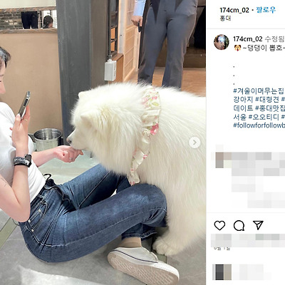 일반인모델 채영 비키니 몸매 키 나이 사진 셀카 ootd 노출 패션 프로필 인스타그램