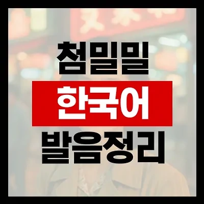 등려군 첨밀밀 한국어 발음 가사해석 중국노래
