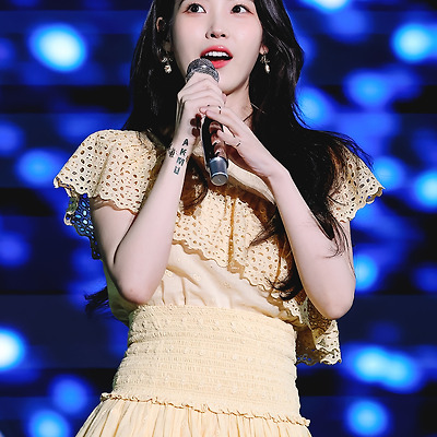 아이유 악뮤 10VE 콘서트 게스트 팬 사진