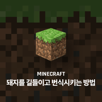 라이브러리 프로젝트