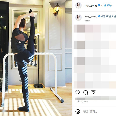 레이양 비키니 수영복 레깅스 몸매 사진 셀카 근황 1987년생 피트니스모델 인스타