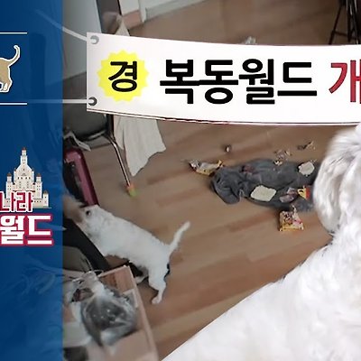 라이브러리 프로젝트