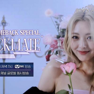 있지 인기가 이렇게 많았나? [미니 5집 CHECKMATE 초동]
