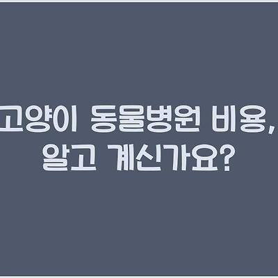 블로그 썸네일