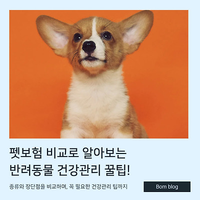 펫보험 비교로 알아보는 반려동물 건강관리 꿀팁!