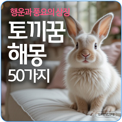 🐇토끼꿈 해몽 50가지 : 내게 오는 행운과 풍요의 상징, 꿈해몽, 꿈의미, 꿈분석, 태몽