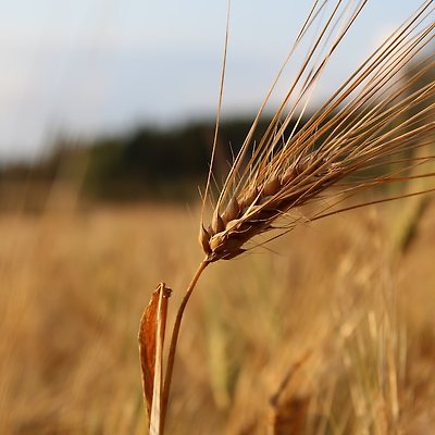 라이브러리 프로젝트