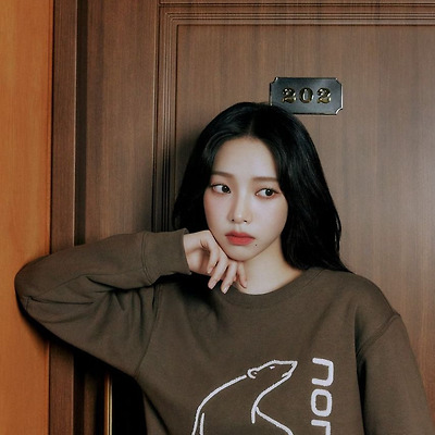 에스파 카리나ㅡ노르디스크 karina