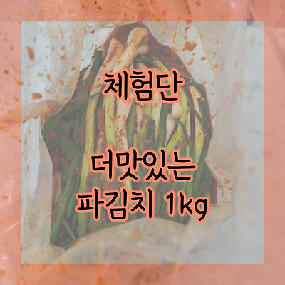 [체험단] 더맛있는 파김치