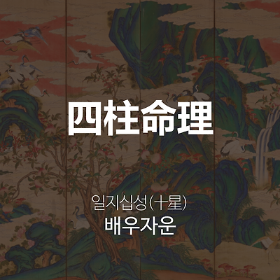 라이브러리 프로젝트