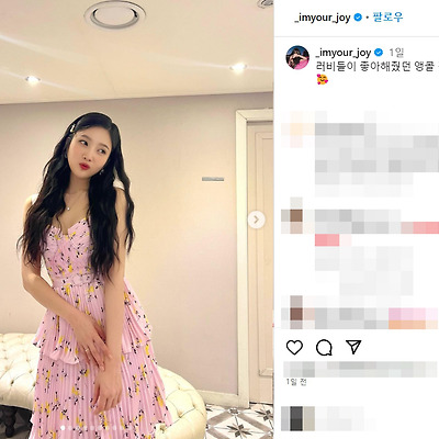레드벨벳 조이 박수영 가방 활동중단 레전드 몸매 배럴 화보 아이돌 가수 인스타그램