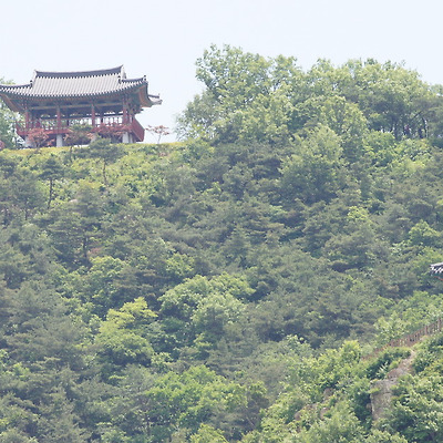 심리대밭길