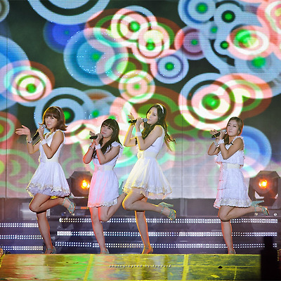 한류드림콘서트, 에이핑크 (A pink)