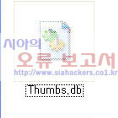 Thumbs.db 파일이란?