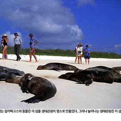 갈라파고스