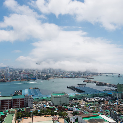 해무, 도시를 삼키다