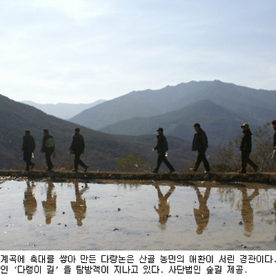지리산 숲길