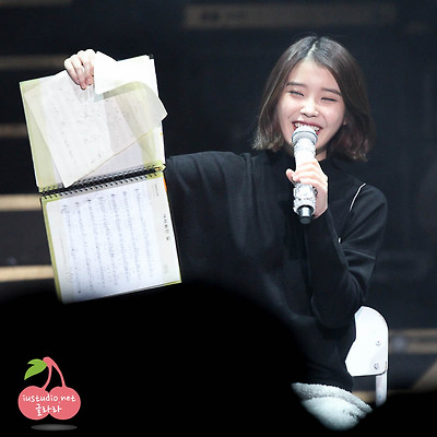 131130 아이유 부산모던타임즈콘서트 리앵콜직찍 by 글라라