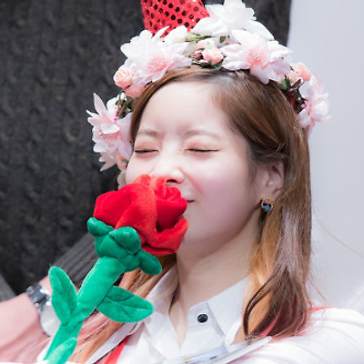 151121 성남 팬싸인회 트와이스④