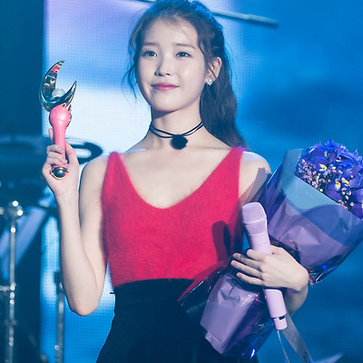 151213 챗셔 광주 콘서트 포토타임 아이유 직찍 by 글라라