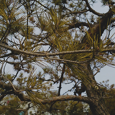 용산 가는 길