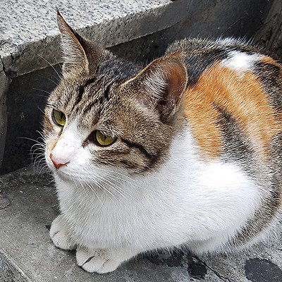 오랜만에 인사드립니다