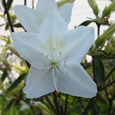 안녕하세요 시아입니다 ^^