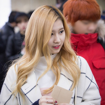 160111 김포공항 입국 TWICE