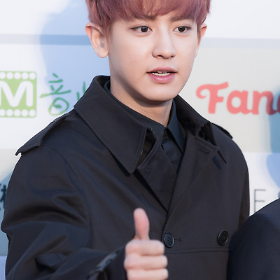 160217 가온차트 K-POP 어워드 레드카펫 엑소