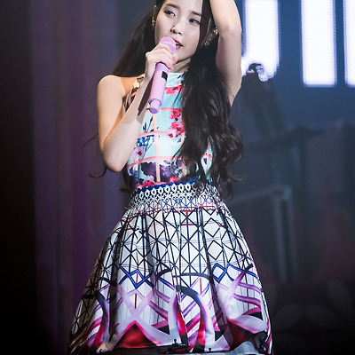 151121 아이유 콘서트 챗셔 포토타임 직찍 by 스피넬