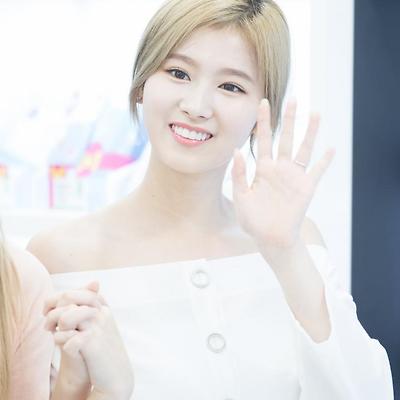 네이처컬렉션 트와이스 개인별 사진