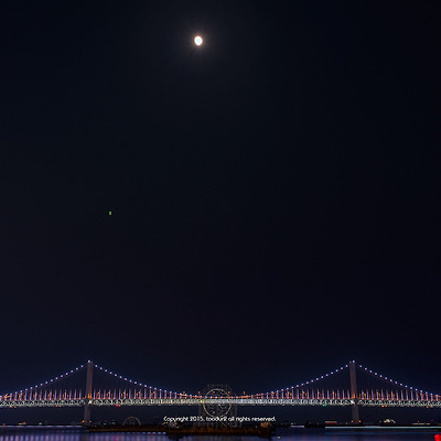 가을 밤을 수놓다. 제11회 부산불꽃축제 #1