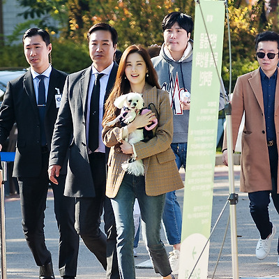 181103 반려동물 등록 활성화 캠페인 서현