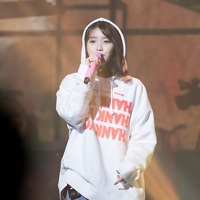 [17.12.10] 팔레트 서울(일) 콘서트 앵앵콜 아이유 직찍 by 두탕구리