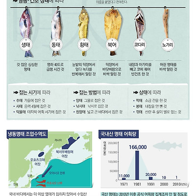 황태, 북어, 코다리&hellip;명태의 '맛있는 변신'